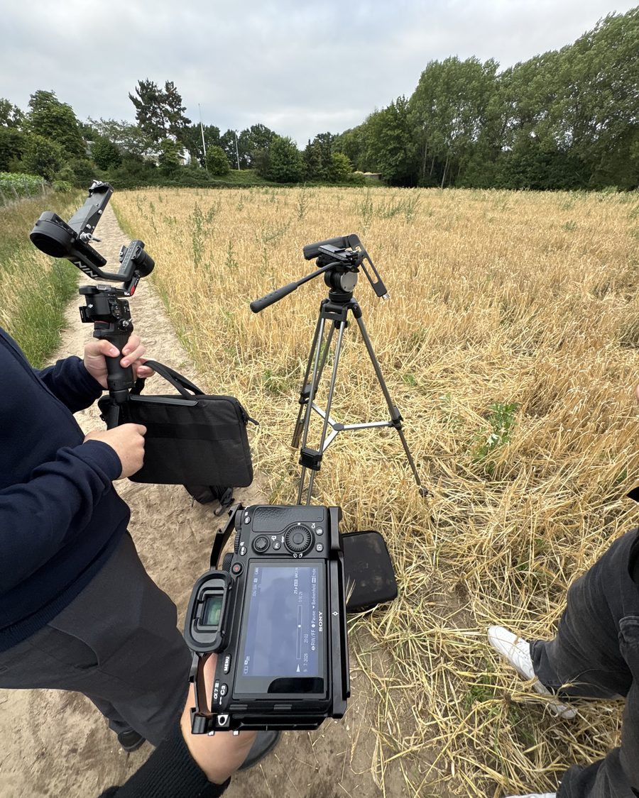 Außendreh: Kamera auf Gimbal und Stativ im Feld aufgebaut